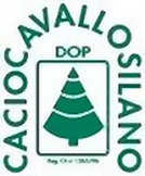 �J�`���J�o�b�� ���S